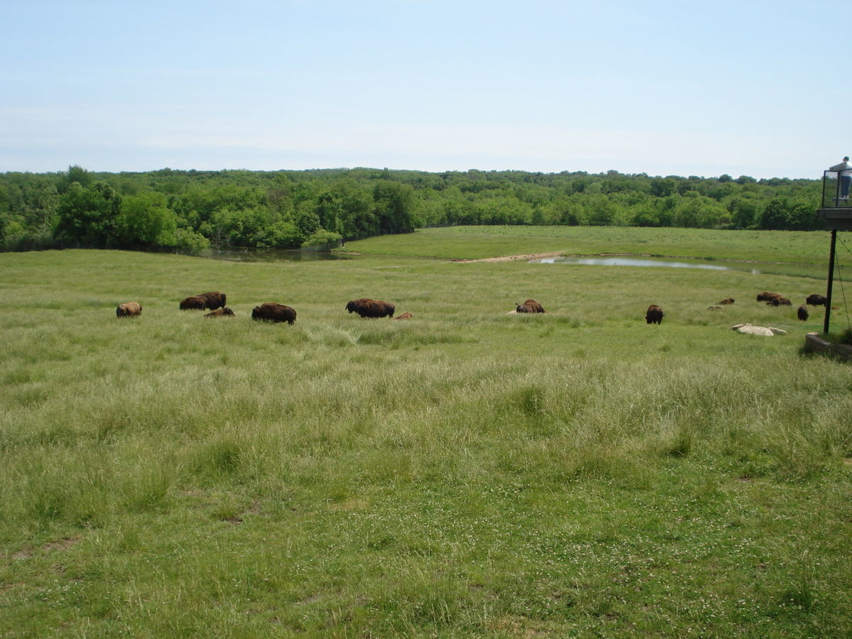 Wildlife Prairie Park Lodging